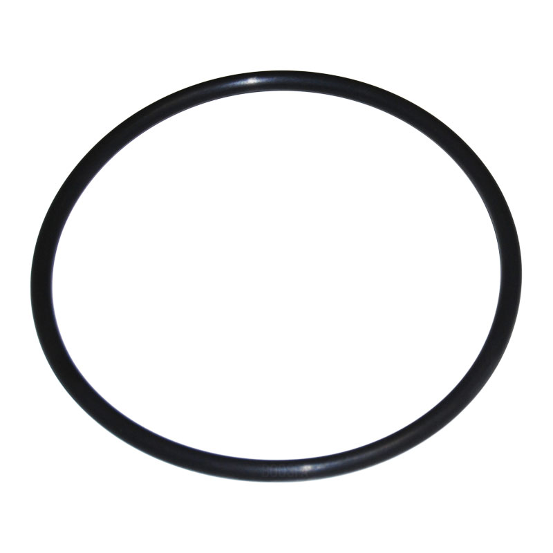 O-Ring for chlorinator