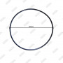 Faceplate Gasket for Pump WTC50M