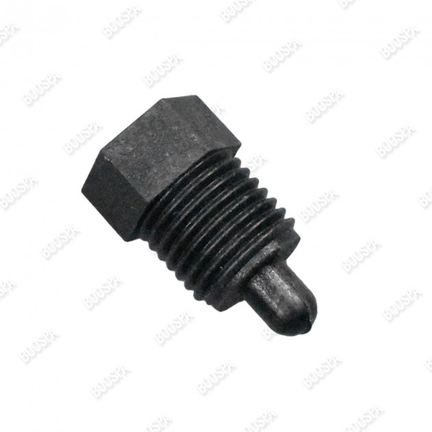 Bouchon Pompe à Eau SASIC 3551041 - Pièce Auto De Rechange