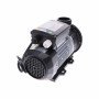 Spa filtration pump TDA75