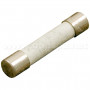 20 Amp Fuse