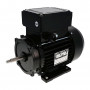 1.5HP two-speeds Spa-Flo Waterway pump