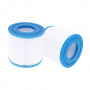 Lot de 2 filtres spa (40101 / C-4310 / PWW10 / FC-3077)