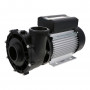 HSP2200 Spa massage pump