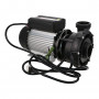 HSP2200 Spa massage pump