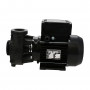 Dual-Speed Hi Flo Massage Pump