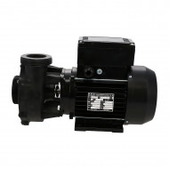 Waterway Hi Flo Dual Speed Spa Pump