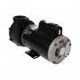 Pompe de massage XP3 2.5HP bi-vitesse