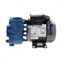 Circmaster Emerson 1/15HP Pump