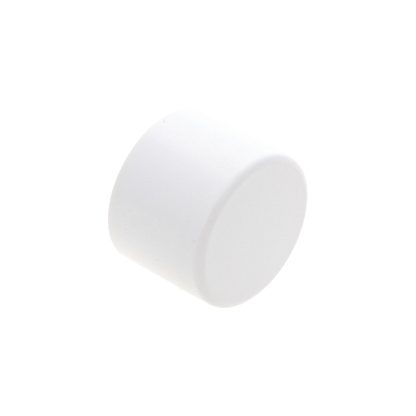 1 F Pipe / Manifold Cap