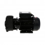 Pompe LX mono-vitesse WP300-I - 3HP (2.2kW)