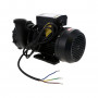 Pompe LX mono-vitesse WP300-I - 3HP (2.2kW)