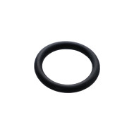 21mm O-ring for air purge