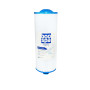 Filtre spa (40256 / 4CH-950 / FC-3028 / PDO-UF25 / D125)
