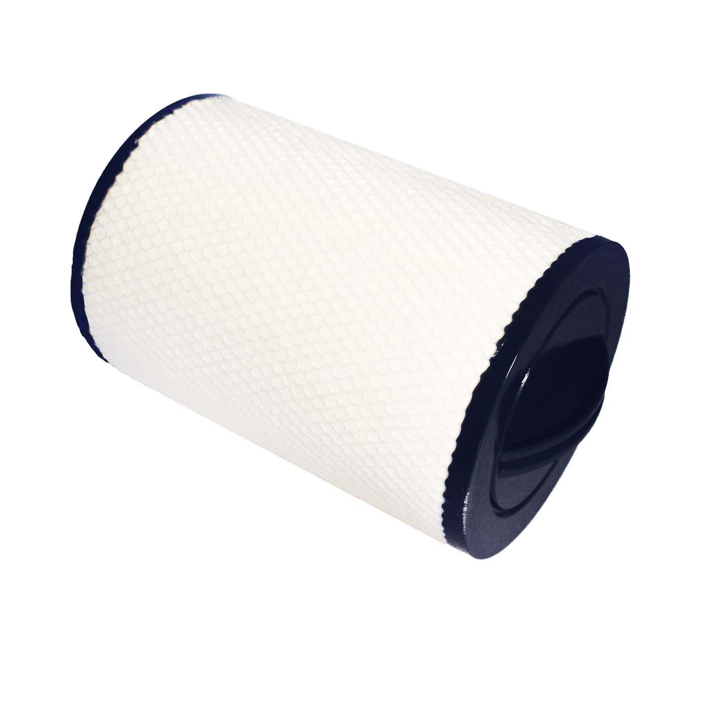 Filtre spa (RD800-2150 Denicor)