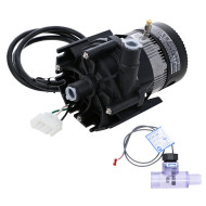 Whirlpool-Pumpe Laing E10 - Anschlüsse 3/4-Zoll-M - 1/40 HP mit AMP-Stecker + Whirlpool-Druckschalter 01710-130