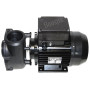 Dual Speed Viper Massage Pump Without supply cable 5.0 HP