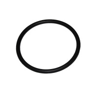 Gasket for pump union (1.5")