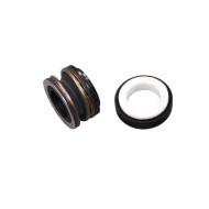Mechanical assembly 81002490 for Balboa Argonaut pump