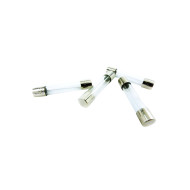 AGC 5 Amp Fuse