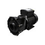 Pompe de massage Mono-vitesse WP400I - 4HP