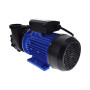 2-Speed Massage Pump WP200II - 2hp