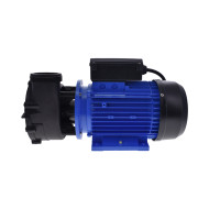 LX Whirlpool WP250II Spa/Pool Pump - 2.5HP (1.85 kW) - Dual Speed