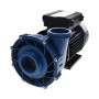 Pompe de massage MAELSTROM - MS-1 Simple Vitesse - 2.5HP