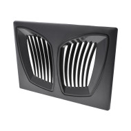 Façade de Skimmer CC5193529-GMB pour COAST SPAS