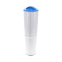 Filtre pour spa DIMENSION ONE 01561-13