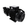 Niagara Pump Ultimax 2HP or 3HP Single speed 3.0 HP
