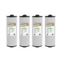 Lot de 4 Filtres spa 40508 / 4CH-949 / RD800-2110 / PWW50L - Classique