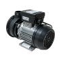 Pompe de massage HA460 1.5HP mono-vitesse Electrique Centrée