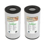 Lot de 2 Filtre spa (40353 / C-4335 / PRB35-IN / T-4335 / FC-2385)