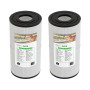 Filtre spa (40353 / C-4335 / PRB35-IN / T-4335 / FC-2385)