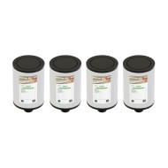 Set of 4 spa filters FD-2117