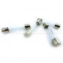 Fusible AGC 3 Ampères