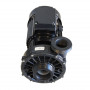 Single-Speed Hi Flo Massage Pump