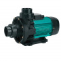 WIPER3 200M Single-speed Pump  2 HP