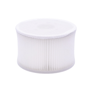 filter for spas mspa lite 2020 with its protective sock
